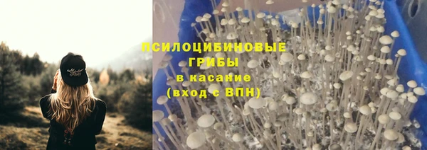 таблы Алексин