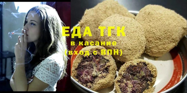 шишки Абаза
