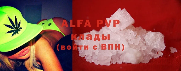 шишки Абаза