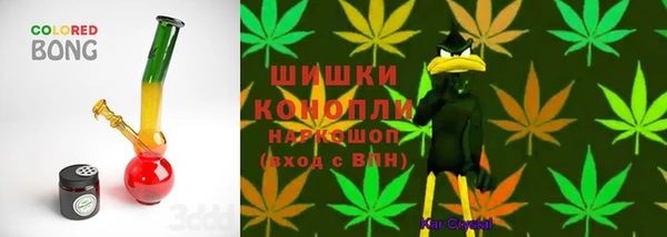 шишки Абаза