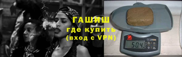 индика Надым