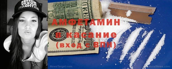 шишки Абаза