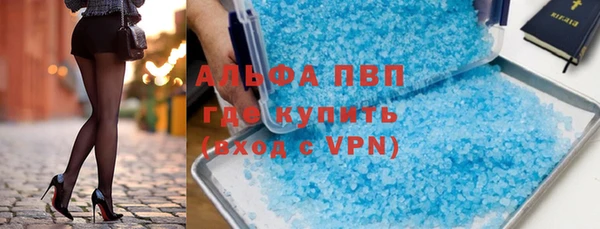 шишки Абаза