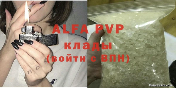 шишки Абаза