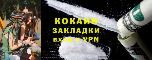 шишки Абаза