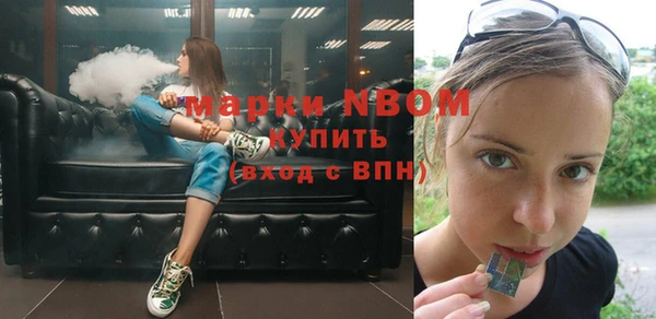 шишки Абаза