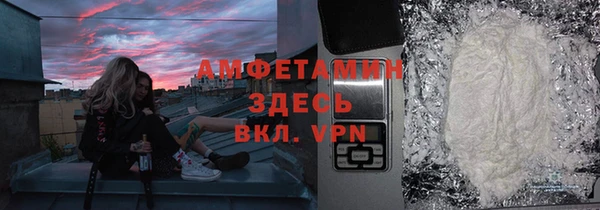 шишки Абаза